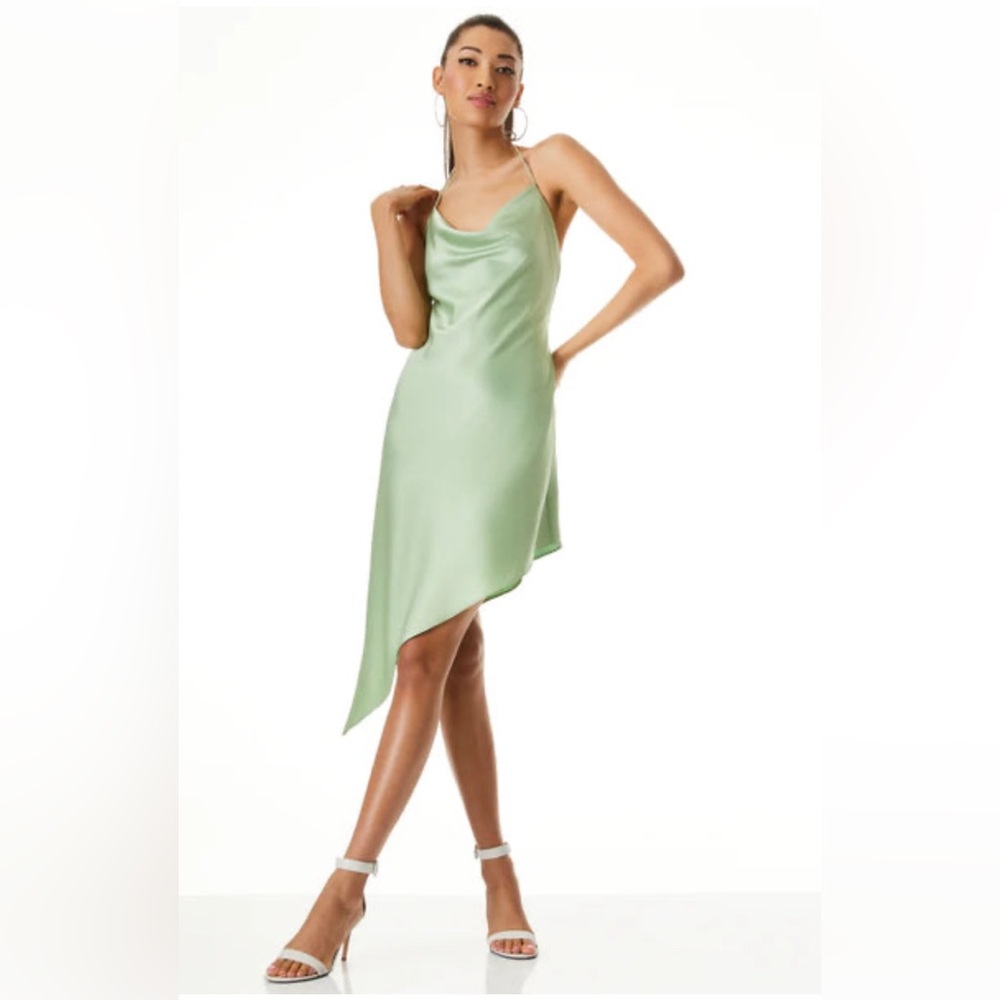Alice + Olivia Light Green Asymmetrical Midi Dress